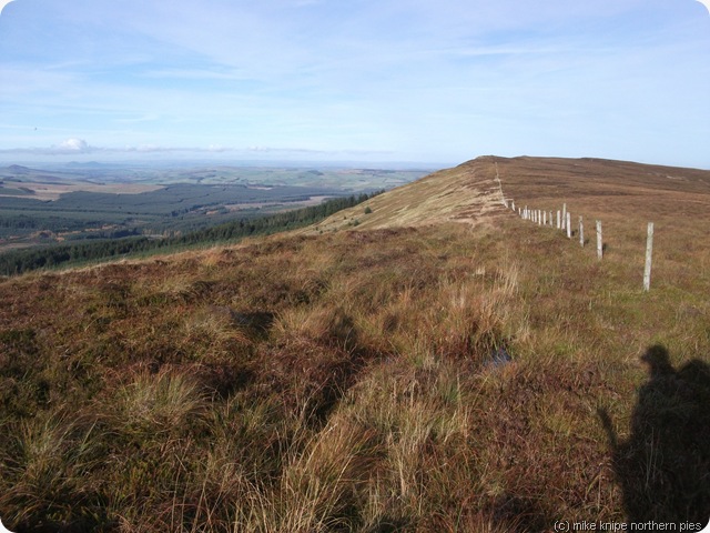 carlin tooth edge