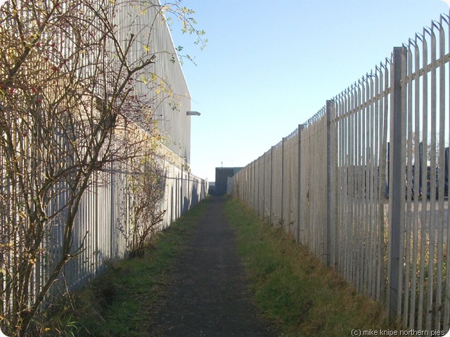 path49 the end path49 the end