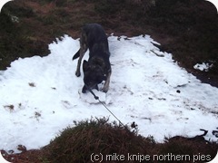 bruno destroys a small glacier