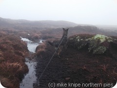 bruno spots a cairn