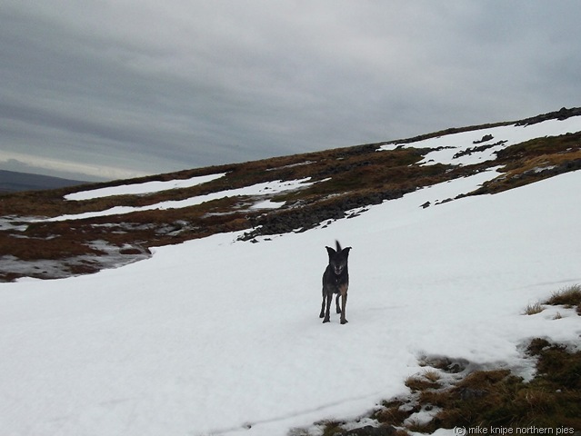[cross fell 004[8].jpg]