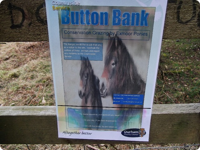 pony notice pony notice