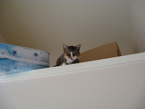 Sam hiding