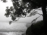 IMG_0644.JPG