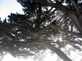 IMG_0662.JPG