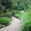 Grasecksen's Backyard garden