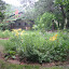 grasecksen's Island garden