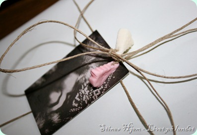 IMG_8172 IMG_8172