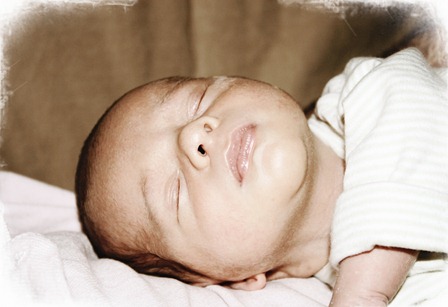 IMG_2004 IMG_2004