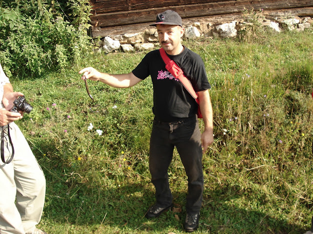 Kép