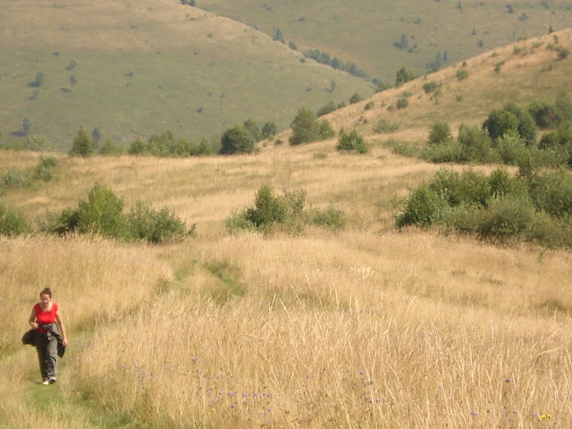 Kép