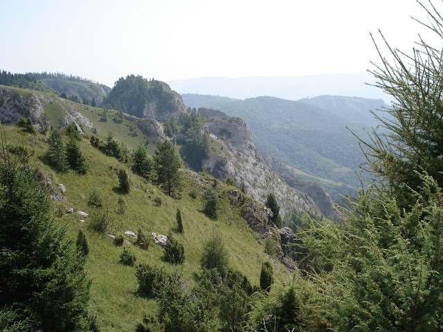 Kép