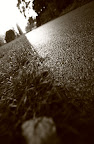 Inland