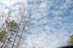 DSC_0001.JPG