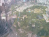 My hotel is beside Tomorrow Square which is a big park. The view from my hotel room. This is where I go running and everyone stares at me.