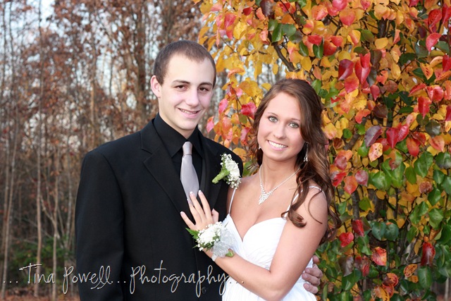 [IMG_9091acd[10].jpg]