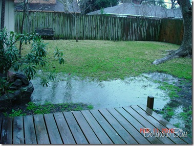 Backyard with water 3