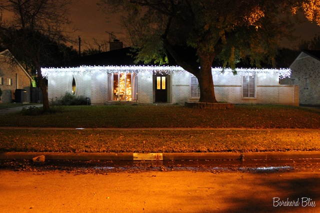 [Christmas Lights 2010 2[4].jpg]