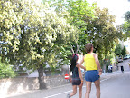 DSCN4233.JPG