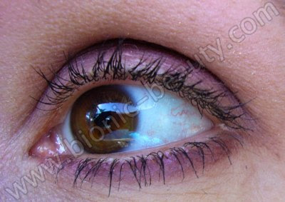 Purple eye shadow look using Purely Cosmetics
