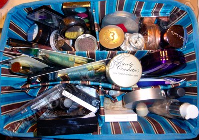 Bionic Beauty's regular makeup case - craft tote from Michaels
