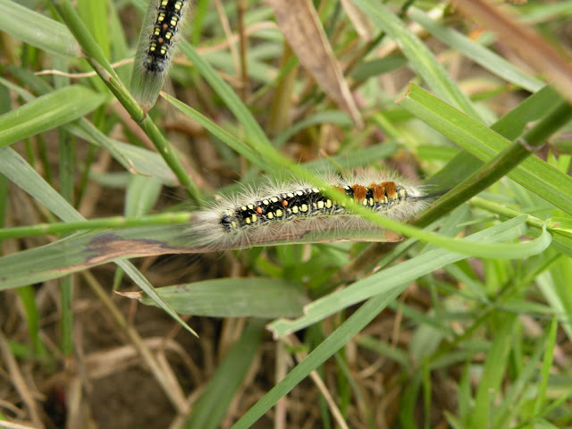 DSCN2573.JPG