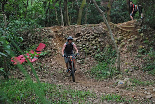 Canvas+rider+background