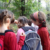 Castanyada 2008