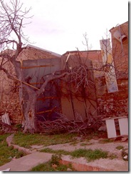 Can Torrents - 10