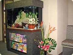 decoração consultório