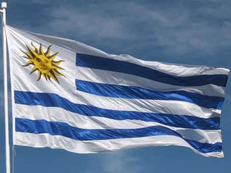 [UruguayFlag_000[16].jpg]