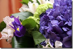 IMG_9419 IMG_9419