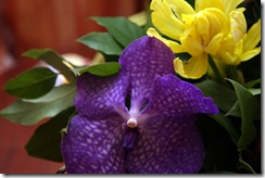 IMG_9417 IMG_9417