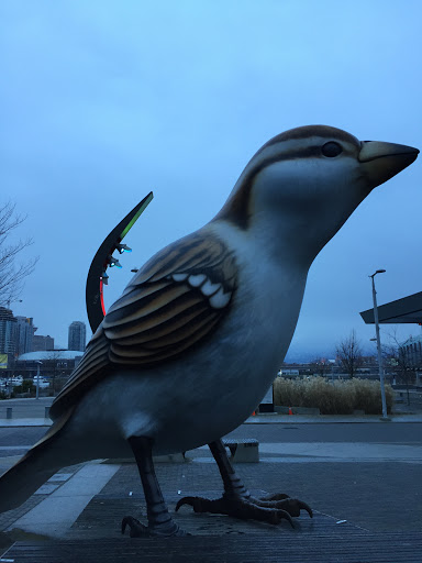 Super Sparrow Portal In Mount Pleasant British Columbia Canada 
