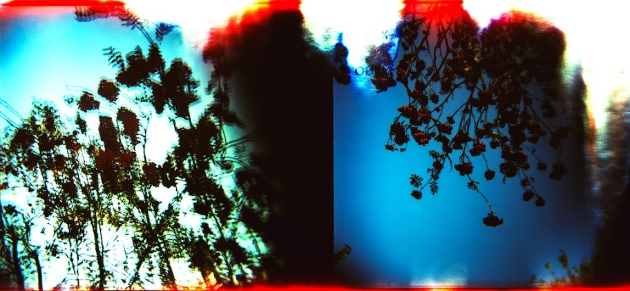 lomography