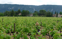 i think these are th luberon hills. sol is in the vineyard which was on the property we stayed at (he broke his brand new sword after about a week)