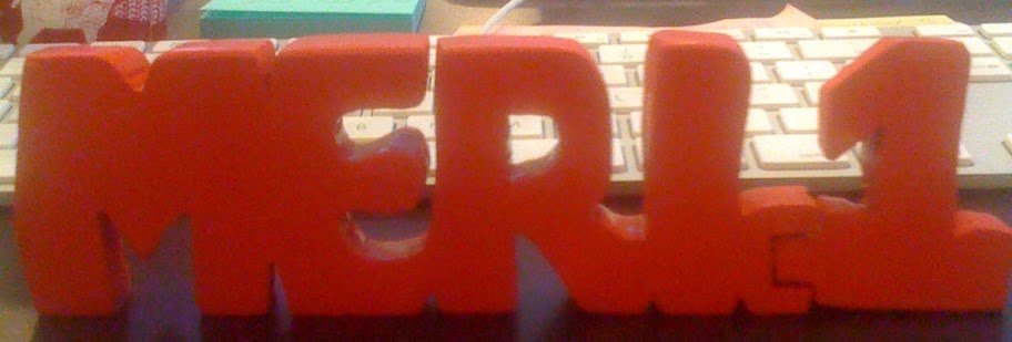 MERI_1 sign