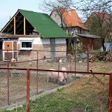 Russisches Haus in der Nähe des Waldbades