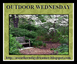 OutdoorWednesdaylogo55