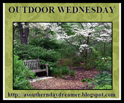 Outdoor Wednesday logo Outdoor Wednesday logo