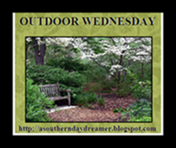 OutdoorWednesdaybutton5433333333 OutdoorWednesdaybutton5433333333