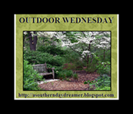 OutdoorWednesdaybutton54333333333332