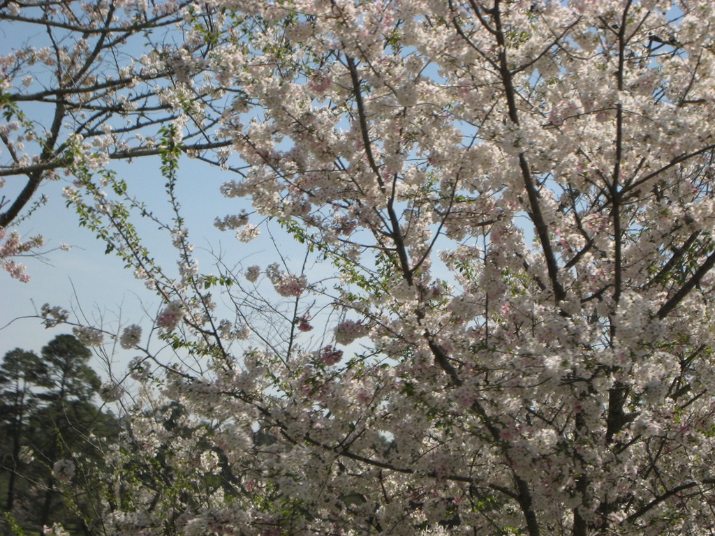 [IMG_00955.jpg]