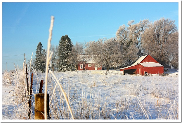 Snowy Iowa Morning 12-2010 (15)