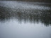 DSCF0907.JPG
