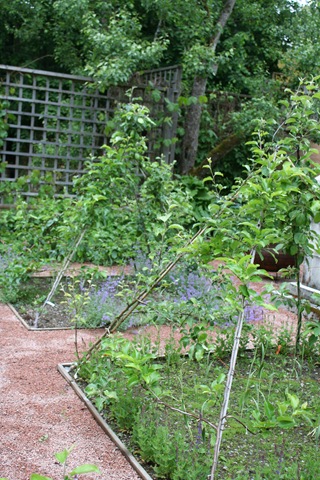 [IMG_80172.jpg]