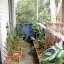 Nimrodel's Balcony garden