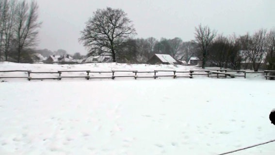 [winter3[3].jpg]