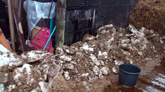 [auslaufcera8[3].jpg]