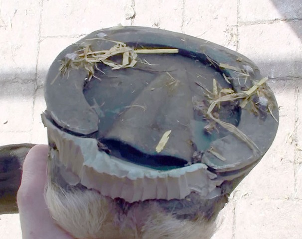 [20100427152428(8)[4].jpg]